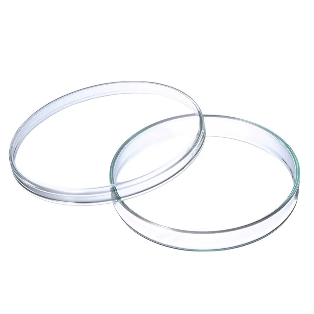 Petri Dish Glass 4” (Anumbra)